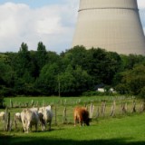 0906G 11 Lingen : haseems